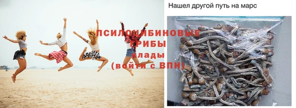 spice Богородск
