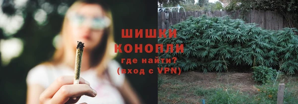 ALPHA PVP Богданович