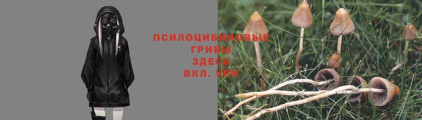 spice Богородск